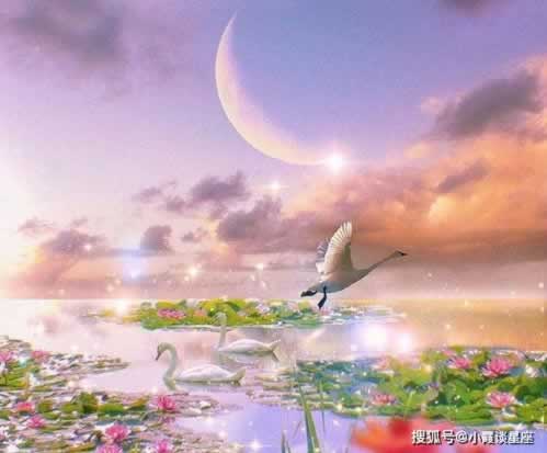 平臺取款通道升級維護是什么意思 操作辦法（圖）