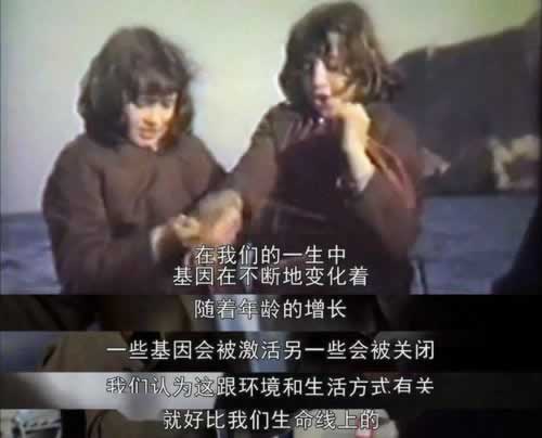 平臺提款通道維護審核什么解決方案（圖）