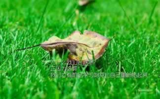 遇到風控審核提取失敗怎么辦大家怎么解決（圖）