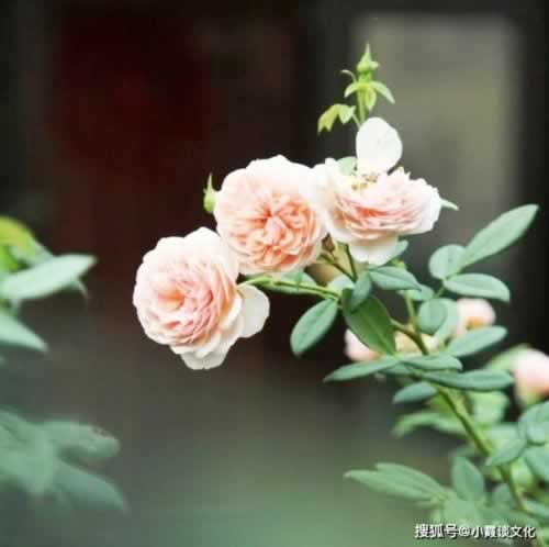 碰到第三通道維護提現不了 解決對策（圖）