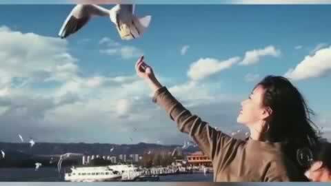網上贏了系統不給提現的大家怎么操作（圖）