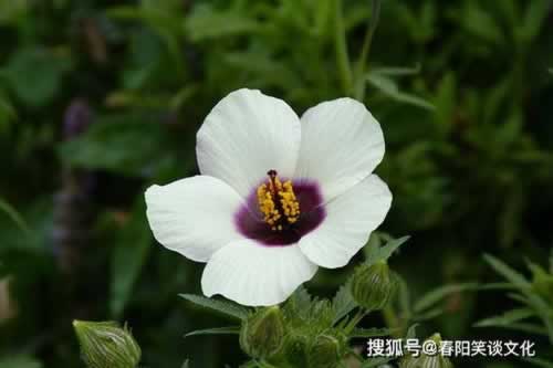 網(wǎng)上營前取款通道維護提失敗 操作對策（圖）