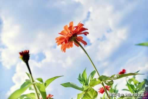 大額取款通道維護中不能提現不知道 處理方案(圖)