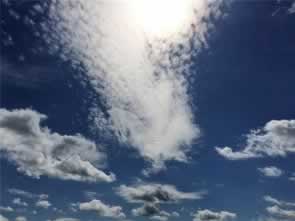 網上提取失敗數據一直未更新怎么做才好（圖）