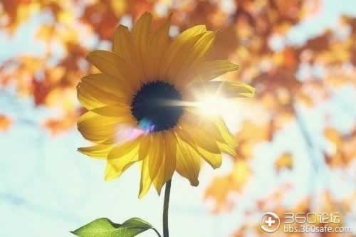 專業(yè)處理被黑贏錢(qián)提款失敗解決方式 破解方案（圖）
